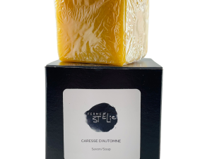 Savon Hydratant citrouille