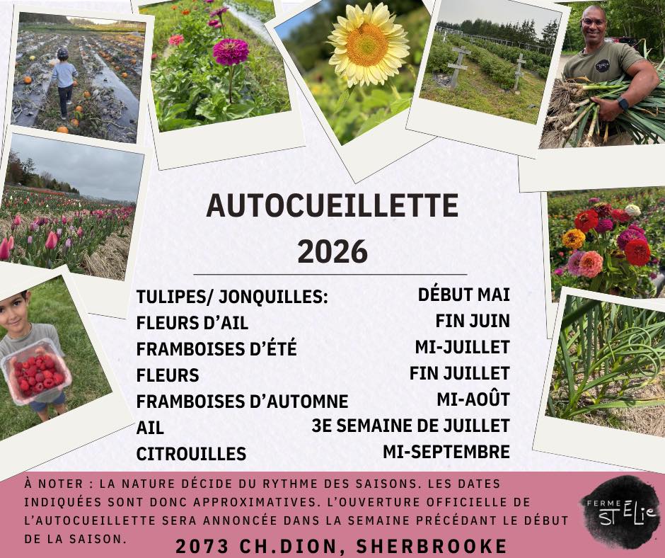 Merci pour cette magnifique saison des tulipes à la Ferme St-Élie 🌷
